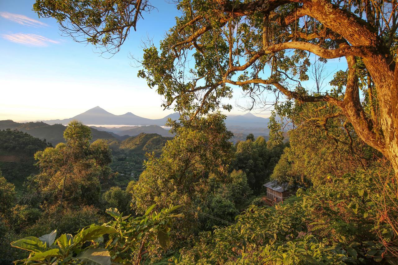 Nkuringo Bwindi Gorilla Lodge Exterior photo