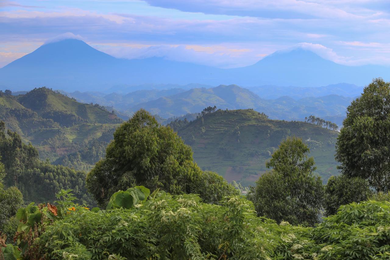 Nkuringo Bwindi Gorilla Lodge Exterior photo